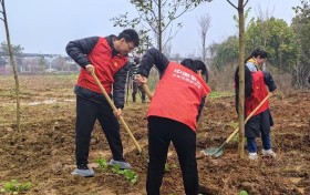 兰溪平安产险：植绿九畹兰花基地，共绘乡村振兴蓝图