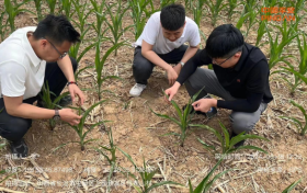 防汛抗旱系列之一|平安产险科技赋能防汛抗旱，筑牢灾害保障网