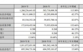 美联新材2019年报发布，工程塑料着色母粒等产品有望成新经济增长点